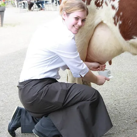 헤르베르그 데 브라반트 클루이스 Aarle-Rixtel