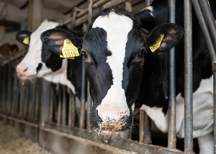 De Brabantse Kluis 2*